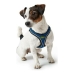 Arnês para Cães Hunter Hilo-Comfort M Azul (55-60 cm)