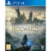 Jeu vidéo PlayStation 4 Warner Games Hogwarts Legacy: The legacy of Hogwarts 