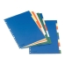 Set spoorverbreders Esselte 5 Vellen Multicolour A4 (100 Stuks)