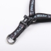 Dog Harness Star Wars Black XS/S