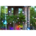 Ghirlanda di Luci LED Twinkly TWF020STP-BEU Nero Multicolore G Moderno