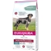 Фураж Eukanuba Daily Care Для взрослых Лососевый Рыба 12 kg