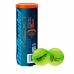 Mingi de Padel Bullpadel 461617