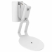 Suporte de Parede Cavus Sonos Era 100 Branco