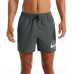 Bañador Hombre Nike NESSA566 018 Gris