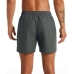 Bañador Hombre Nike NESSA566 018 Gris