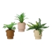 Decoratieve plant EDM 808559 25 cm Bloempot