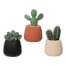 Decoratieve plant EDM 808448 Cactus 14 cm