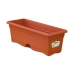 Planter med Skål Plastiken Terrakotta polypropylen Plast 60 x 20 cm