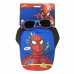 Set de pălărie cu ochelari de soare Spider-Man Infantil 2 Piese