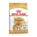 Nourriture Royal Canin BHN Breed Pomaranian Adulte 500 g