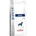 Fodder Royal Canin Renal Adult Chicken Birds 2 Kg