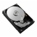 Disque dur Dell 161-BBQD 3,5