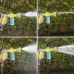 8-in-1 Drukwaterpistool met Tank Dariegger InnovaGoods