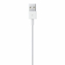 Cable USB a Lightning Apple MXLY2ZM/A