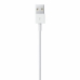 Cabo USB para Lightning Apple MXLY2ZM/A