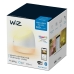 Bordlampe Wiz Squire 9 W