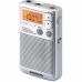 Raadio Sangean DT250S