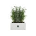 Bloempot Elho 59 x 30 x 29 cm Wit Plastic Rechthoekig Modern