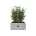 Plant pot Elho White 59 x 30 x 29 cm Plastic Rectangular Modern