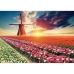 układanka puzzle Educa Fields of Tulips 18465 1500 Części