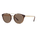 Lunettes de soleil Homme Ralph Lauren RL 8210