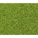 Umelý trávnik Exelgreen Campus 2D 1 x 5 m 25 mm