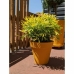 Vaso Riviera Amarelo Ø 60 cm