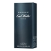 Férfi Parfüm Cool Water Davidoff (100 ml) EDP