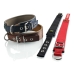 Collar para Perro Hunter Neoprene Reflect Rojo (49-56 cm)