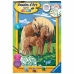 Set Pittura per Numeri Ravensburger Proud Horses