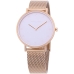 Horloge Dames Pierre Cardin CBV-1055