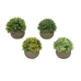 Decoratieve plant Everlands Ø 12 cm Bloempot Plastic