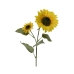 Sträuße Everlands Sonnenblume 10 x 15 x 72 cm