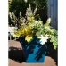 Cvetlični lonec Riviera 40 x 40 cm Modra