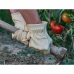 Gants de jardinage JUBA Renforcés 10