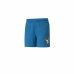 Short de Sport pour Homme Puma Summer Cat Graphic Vallarta Bleu