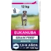 Futter Eukanuba Erwachsener Fisch 12 kg