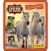 Chrome-csomag Panini Le plus beaux Chevaux du monde 15 borítékok