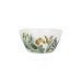 Kom Alfares Melamine Jungle 15 x 7 cm (24 Stuks)