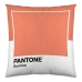 Pagalvėlės užvalkalas Wide C Pantone Localization-B086JPW2VB Dvipusis 50 x 50 cm