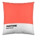 Padjakate Narrow Pantone Localization_B086JR8Y6X Kahepoolne 50 x 50 cm