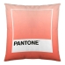 Калъфка за възглавница Ombre B Pantone Localization-B086JQB7QD С две лица 50 x 50 cm