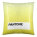 Fodera per cuscino Ombre C Pantone Localization_B086JQZYZH Reversibile 50 x 50 cm