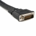 Cabo DMS-59 para VGA Startech DMSVGAVGA1           Preto 0,2 m