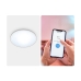 Plafondlamp Philips Wiz 16 W 29,2 x 2,3 cm Wit Multicolour (2700 K) (6500 K)