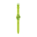 Naiste Kell Swatch GG227