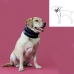 Collier cervical pour chiens KVP Noir (10-41 cm)