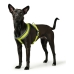 Harnais pour Chien Hunter London Comfort XS-S 39-47 cm Citron