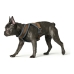 Arnês para Cães Hunter London Comfort 52-62 cm Castanho Tamanho S/M